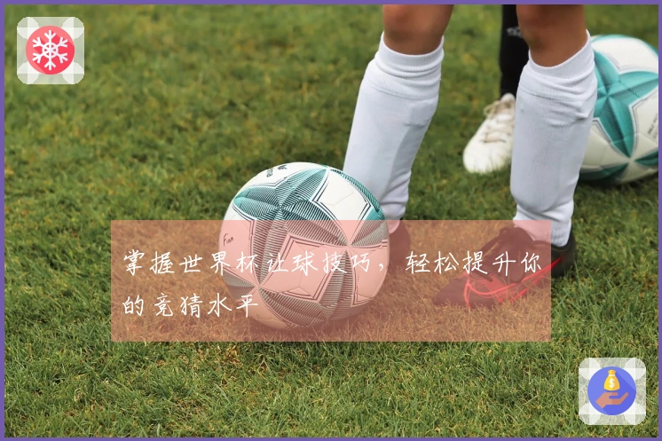 掌握世界杯让球技巧，轻松提升你的竞猜水平