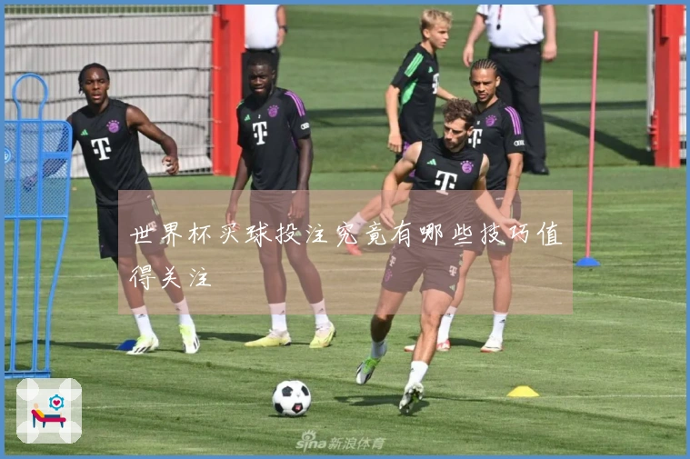 世界杯买球投注究竟有哪些技巧值得关注