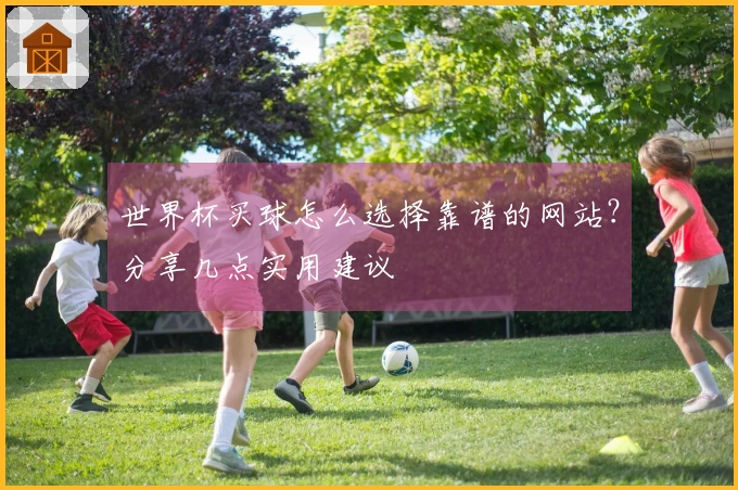 世界杯买球怎么选择靠谱的网站？分享几点实用建议