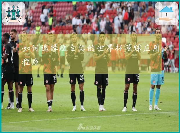 如何选择适合你的世界杯滚球应用程序