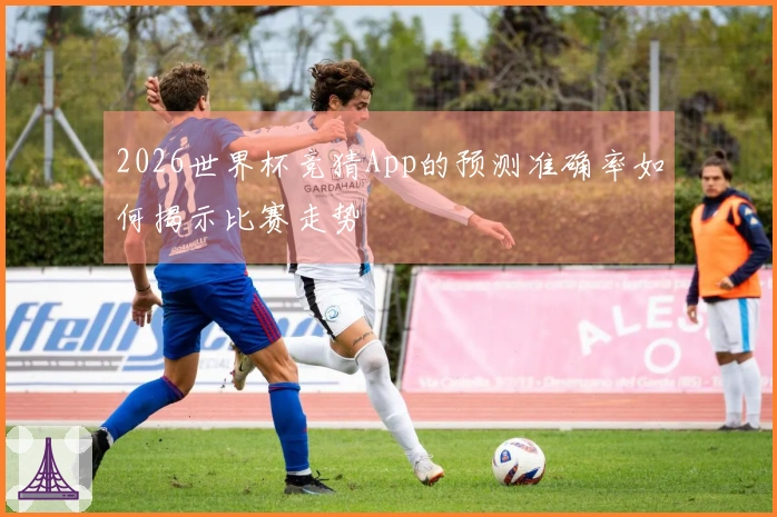 2026世界杯竞猜App的预测准确率如何揭示比赛走势