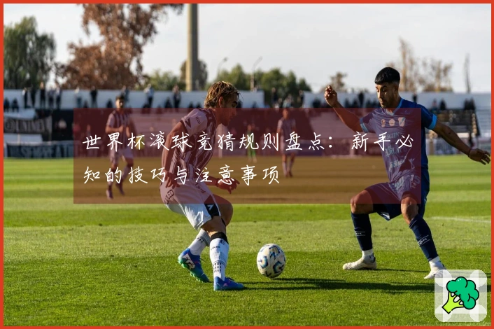 世界杯滚球竞猜规则盘点：新手必知的技巧与注意事项