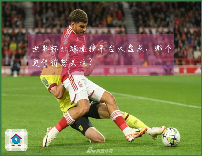 世界杯让球竞猜平台大盘点，哪个更值得您关注？