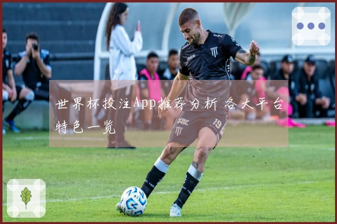 世界杯投注App推荐分析 各大平台特色一览