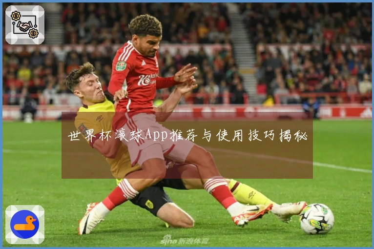 世界杯滚球App推荐与使用技巧揭秘