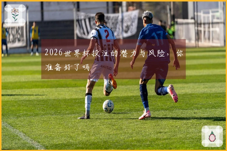 2026世界杯投注的潜力与风险，你准备好了吗