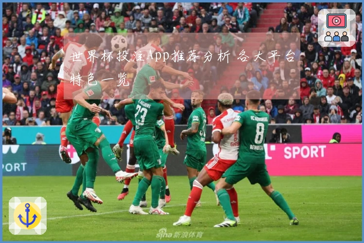 世界杯投注App推荐分析 各大平台特色一览